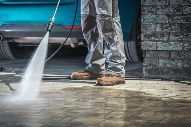 Reliable Los Chaves, NM Pressure washing Solutions